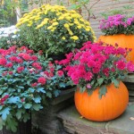 DIY pumpkin planter