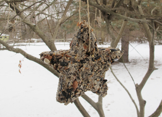 Learn how to make birdseed suet in custom shapes to hang from trees.