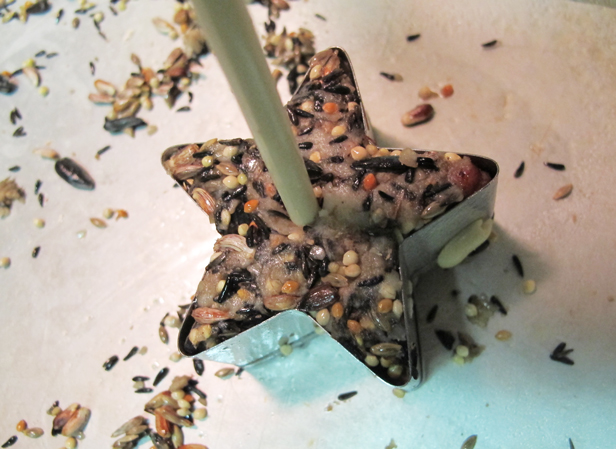 Learn how to make birdseed suet in custom shapes to hang from trees.