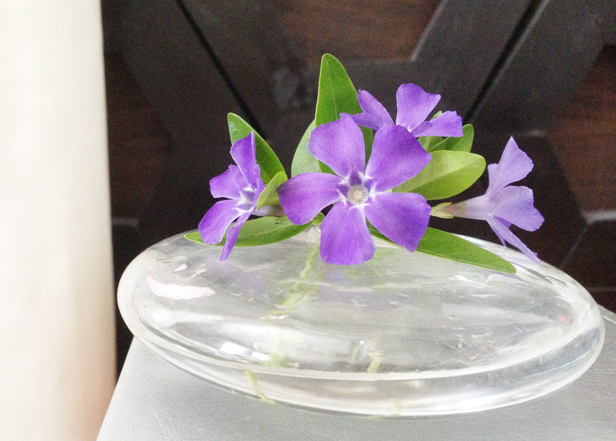 Creative bud vases for the home.
