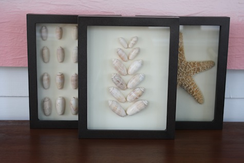 Shadowbox picture frame with shells.