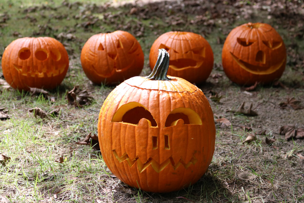 Five carved pumpkins.