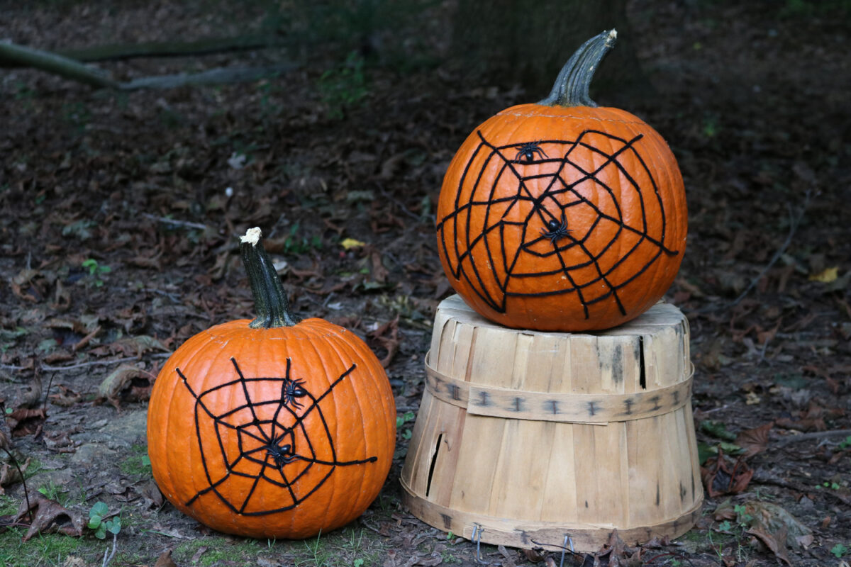 Pumpkins with yarn spiderwebs sewn onto the surface.